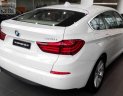 BMW 528i Mới  5  GT 2017 - Xe Mới BMW 5 528i GT 2017