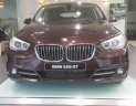 BMW 528i Mới  5  GT 2018 - Xe Mới BMW 5 528i GT 2018