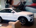 BMW X4 Mới   XDrive20i 2018 - Xe Mới BMW X4 XDrive20i 2018