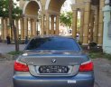 BMW 5 Series 530i 2007 - Bán xe BMW 5 Series 530i đời 2007, nhập khẩu nguyên chiếc