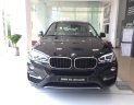 BMW X6 Mới   XDrive30i 2018 - Xe Mới BMW X6 XDrive30i 2018