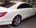 Mercedes-Benz CLS Cũ Mercedes-Benz  350 AMG 2014 - Xe Cũ Mercedes-Benz CLS 350 AMG 2014