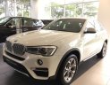 BMW X4 Mới   XDriver20i 2018 - Xe Mới BMW X4 XDriver20i 2018