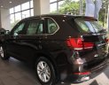 BMW X5 Mới   XDrive35i 2018 - Xe Mới BMW X5 XDrive35i 2018