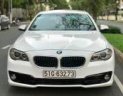 BMW 5 Series 2014 - Bán ô tô BMW 5 Series 528i đời 2014, màu trắng, xe nhập