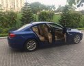 BMW 5 Series 523i 2011 - Cần bán xe BMW 5 Series 523 2011, màu xanh, xe nhập