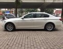 BMW 1 Cũ  5 520i 204 2014 - Xe Cũ BMW 5 520i 2014