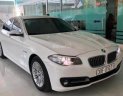 BMW 5 Series  520i  2013 - Bán xe BMW 5 Series 520i 2013, màu trắng như mới