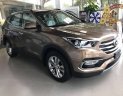 Hyundai Santa Fe 2018 - Cần bán Hyundai Santa Fe đời 2018, màu nâu, giá tốt