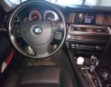 BMW 5 Series 2013 - BMW 520i sản xuất 2013 màu đen cực đẹp