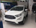 Ford EcoSport Titanium 2018 - Ford Ecosport 2018, xe đủ màu giao ngay, giá cạnh tranh, LH: 0936810070