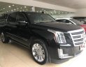 Cadillac Escalade   ESV Platinum 2016 - Bán Cadillac Escalade ESV Platinum sản xuất 2016, đăng ký 2017, biển Hà Nội, xe cực đẹp