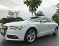 Audi A5 2013 - Xe Audi A5 sản xuất 2013 màu trắng, giá chỉ 1 tỷ 260 triệu, nhập khẩu nguyên chiếc