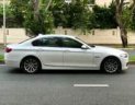 BMW 5 Series 528i 2014 - Cần bán xe BMW 5 Series sản xuất 2014, màu trắng, nhập khẩu nguyên chiếc