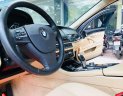 BMW 5 Series 520i 2015 - Bán BMW 5 Series 520i sản xuất 2015, màu đen, xe nhập  