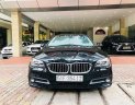 BMW 5 Series 520i 2015 - Bán BMW 5 Series 520i sản xuất 2015, màu đen, xe nhập  