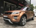 LandRover Evoque 2014 - Cần bán lại xe LandRover Evoque sản xuất 2014, màu nâu, nhập khẩu  