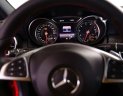 Mercedes-Benz A class A250 AMG  2016 - Bán xe Mercedes A250 AMG năm 2016, màu đỏ, nhập khẩu