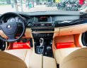 BMW 5 Series 520i 2015 - Bán BMW 5 Series 520i sản xuất 2015, màu đen, xe nhập  