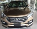 Hyundai Santa Fe 2018 - Cần bán Hyundai Santa Fe sản xuất 2018, màu nâu