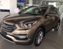 Hyundai Santa Fe 2018 - Cần bán Hyundai Santa Fe sản xuất 2018, màu nâu