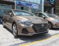 Hyundai Elantra  2.0AT  2018 - Cần bán Hyundai Elantra 2.0AT đời 2018, màu nâu, giá 659tr