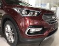 Hyundai Santa Fe 2018 - Bán Hyundai Santa Fe 2018, màu đỏ