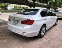 BMW 3 Series 320i 2013 - Bán xe BMW 3 Series 320i sản xuất năm 2013, màu trắng, nhập khẩu nguyên chiếc 