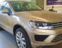 Volkswagen Touareg   3.6 AT  2016 - Bán xe Volkswagen Touareg 3.6 AT đời 2016, màu nâu