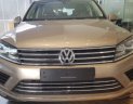 Volkswagen Touareg   3.6 AT  2016 - Bán xe Volkswagen Touareg 3.6 AT đời 2016, màu nâu