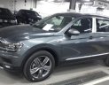 Volkswagen Tiguan E 2020 - Mua xe Volkswagen Tiguan Allspace 2020 đủ màu giao ngay – Hotline: 0909 717 983