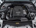 Mercedes-Benz C ũ Meredes-Benz E 250 2017 - Xe Cũ Mercedes-Benz E 250 2017
