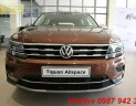 Volkswagen Tiguan Mới   Allspace 2018 - Xe Mới Volkswagen Tiguan Allspace 2018