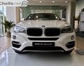 BMW X6 Mới   XDrive35i 2018 - Xe Mới BMW X6 XDrive35i 2018