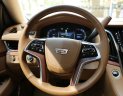 Cadillac Escalade Cũ   ESV PLATINUM 2016 - Xe Cũ Cadillac Escalade ESV PLATINUM 2016