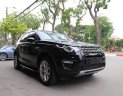 LandRover Discovery Sport HSE 2014 - Bán xe LandRover Discovery Sport HSE sản xuất năm 2014, màu đen, nhập khẩu