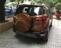 Ford EcoSport Ambiente 1.5L  2018 - Bán Ford Ecosport Ambiente 1.5L số sàn 2018 khuyến mãi siêu khủng