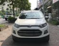 Ford EcoSport Titanium 2015 - Cần bán xe Ford EcoSport Titanium 2015, màu trắng, hà noi
