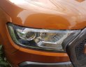 Ford Ranger 3.2L Wildtrak 4x4 AT 2016 - Bán xe Ford Ranger chính chủ