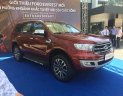 Ford Everest 2.0 2018 - Bán Ford Everest model 2019 bản 2.0 Bi-turbo nhập Thái, giao xe sớm nhất, nhiều ưu đãi hấp dẫn