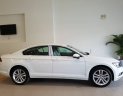 Volkswagen Passat 2017 - Bán Volkswagen Passat Blue Motion - có sẵn - giao xe toàn quốc - liên hệ ngay để được giá tốt nhất thị trường 0968028344