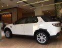 LandRover Discovery  Sport HSE   2017 - Bán ô tô LandRover Discovery Sport HSE sản xuất năm 2017, màu trắng, nhập khẩu nguyên chiếc số tự động