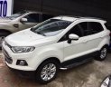 Ford EcoSport Titanium 2016 - Mình cần bán xe Ford EcoSport Titanium sx 2016, màu trắng, 560 triệu