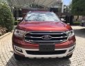 Ford Everest 2.0 2018 - Bán Ford Everest model 2019 bản 2.0 Bi-turbo nhập Thái, giao xe sớm nhất, nhiều ưu đãi hấp dẫn