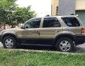 Ford Escape 2003 - Bán Ford Escape năm sản xuất 2003, màu vàng cát