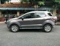 Ford EcoSport Titanium 1.5AT 2015 - Bán Ford EcoSport Titanium 1.5AT 2015, màu nâu