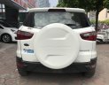 Ford EcoSport Titanium 2015 - Cần bán xe Ford EcoSport Titanium 2015, màu trắng, hà noi