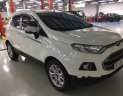 Ford EcoSport   2017 - Bán ô tô Ford EcoSport đời 2017, màu trắng, giá 579tr