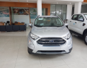 Ford EcoSport Mới   Titanium 1.5L AT 2018 - Xe Mới Ford EcoSport Titanium 1.5L AT 2018