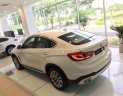 BMW X6 Mới   XDrive35i 2018 - Xe Mới BMW X6 XDrive35i 2018